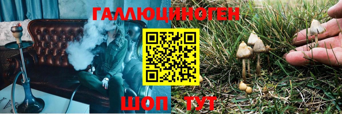 Чапаевск  Псилоцибиновые грибы GOLDEN TEACHER  где продают наркотики  Вход с VPN 